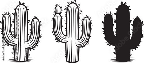 Set of saguaro cacti, desert succulents, wild west plants drawing, black and white collection
