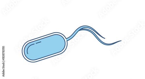 Illustration of a single bacterium with flagella
