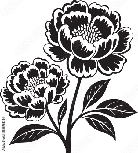 Two beautiful peony flowers with detailed petals and lush leaves in a floral illustration