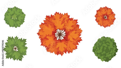 Colorful autumn and lush green foliage from above for landscape planning and architectural design