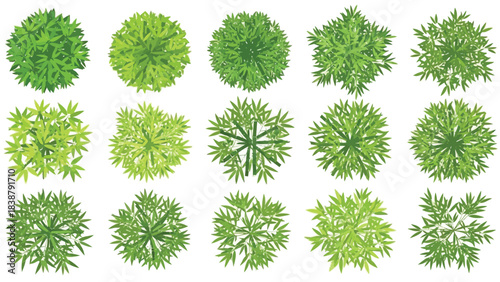 Top view green plants and shrubs for landscape architecture and garden planning resources