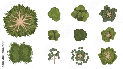 Diverse collection of green top-down trees and bushes perfect for landscape design and