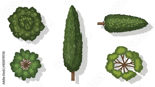 Diverse flat vector tree and bush illustrations for landscape planning and architectural top view