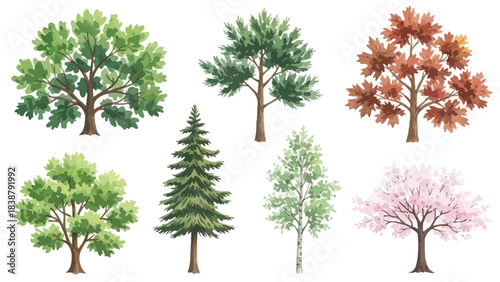 Vivid watercolor representations of various trees displaying different leaf types and seasonal