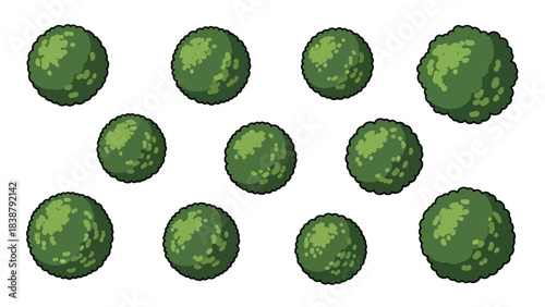 Neat assembly of fresh green spherical topiary elements suitable for diverse digital project