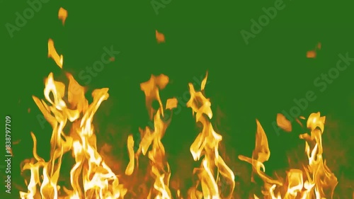 Realistic fire flames green screen	
