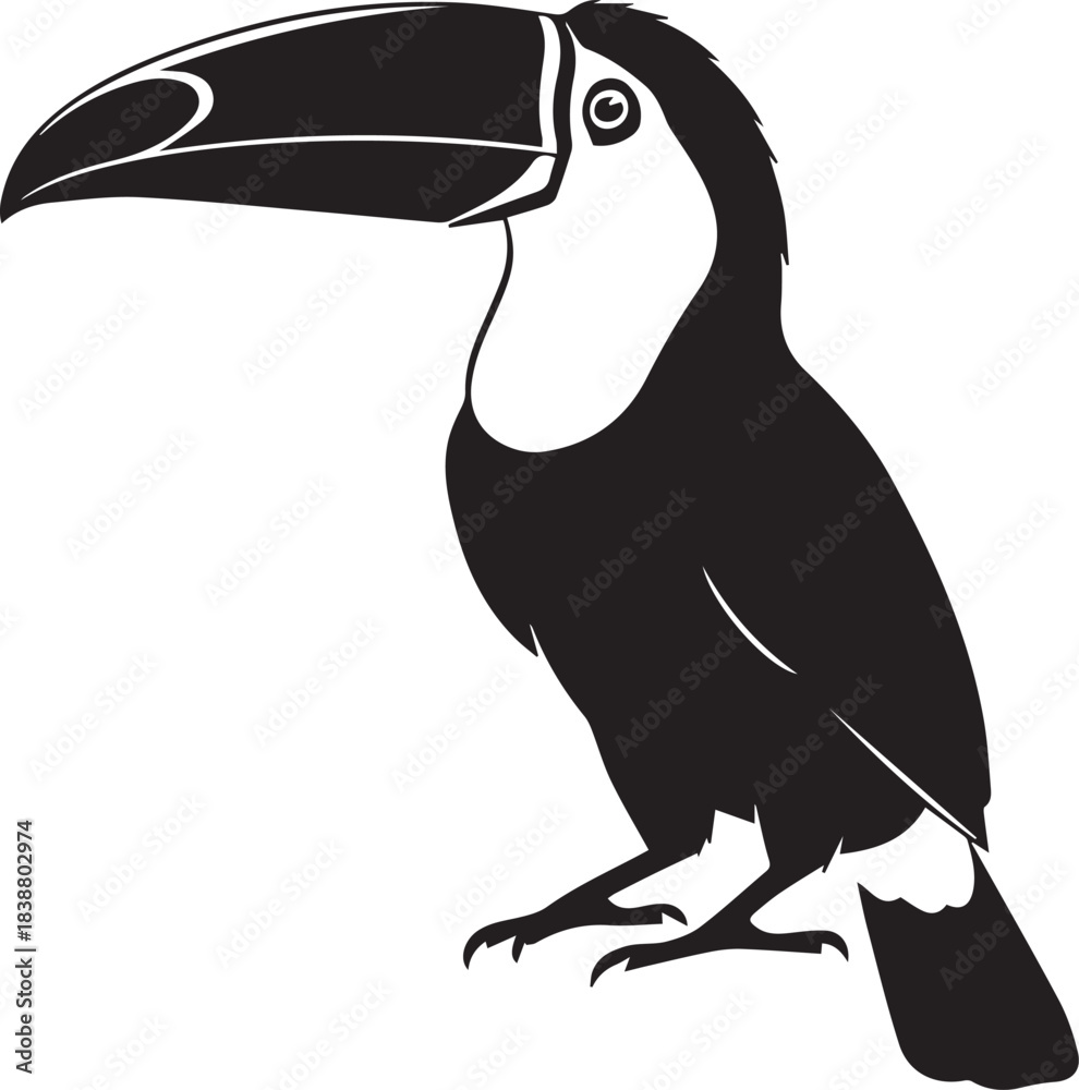 Fototapeta premium toucan silhouette vector flat illustration design