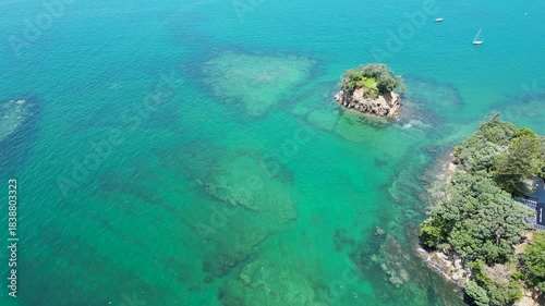 Bright drone aerial look at birds over calm turquoise water near Winstones Cove in New Zealand.