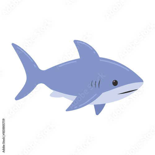 Illustration of a Blue Shark