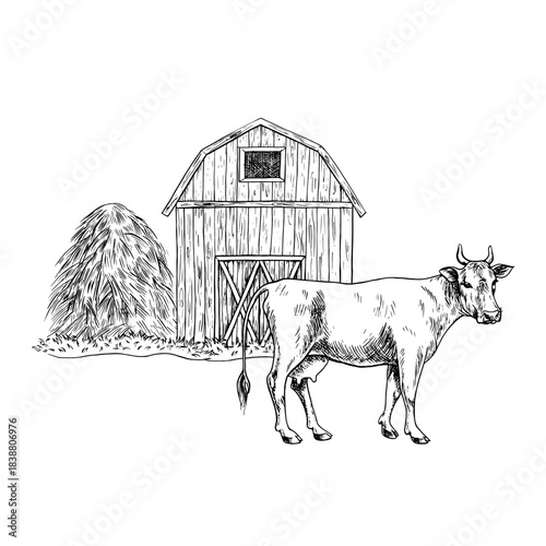 Farmyard. Black and white hand drawn vector illustration. Wooden barn, cow, haystack. Concept of the livestock industry. Design element for banners, labels, postcards and more.