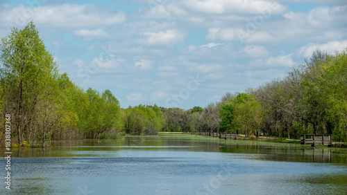 Brazos Bend State Park in Texas
