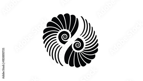 Elegant black nautilus shell yin yang symbol on white background