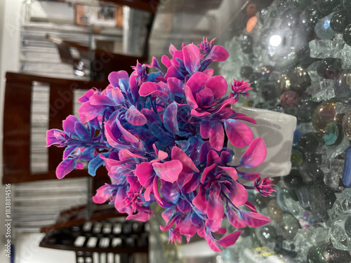a beautiful pin and purple flower photo click by still