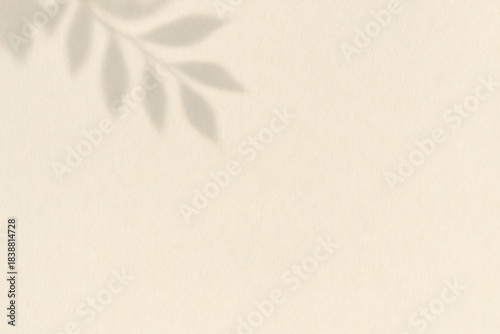 Soft leaf shadow overlay on textured paper, natural light effect, botanical shadow, backdrop for product.