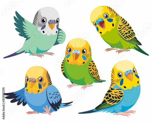 Five colorful cartoon budgies collection, happy green and blue parakeet birds set, isolated vector illustration design element for pet care marketing, whimsical exotic animal characters, educational g