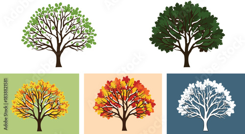 Beautiful collection of a single tree illustrated through the four seasons: spring, summer, autumn, and a winter silhouette.