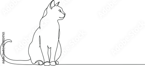 Elegant sketch of a sitting cat with a long tail and focused gaze