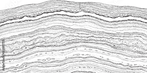 Abstract grayscale pattern of wavy lines and organic shapes resembling geological strata or microscopic textures.
