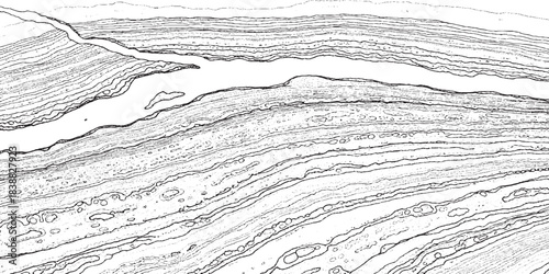 Abstract Topographic Map Lines and Contours in Black and White.