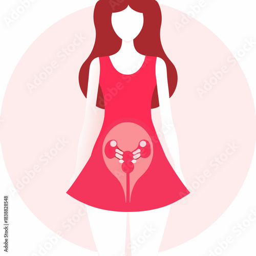Illustration of a woman with a reproductive system inside her dress