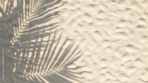 Palm leaf shadows creating abstract patterns on a textured beige sand beach, perfect for summer backgrounds and serene tropical concepts