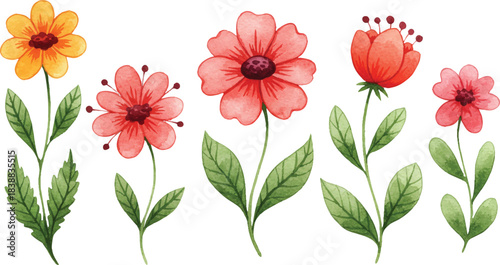 Beautiful collection of hand-painted watercolor flower illustrations, perfect for springtime projects and botanical-themed designs. Vibrant blossoms with delicate leaves, ideal for invitations, decor,