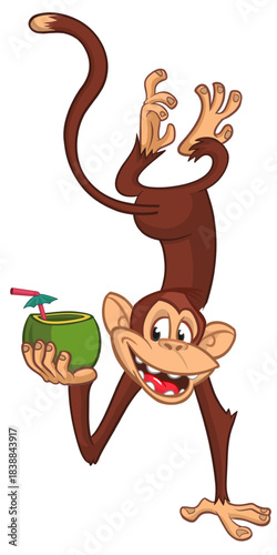 Cartoon funny monkey chimpanzee upside down drinking coconut cocktail. Vector illustration isolated on white