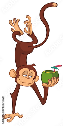 Cartoon funny monkey chimpanzee upside down drinking coconut cocktail. Vector illustration isolated on white