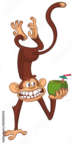 Cartoon funny monkey chimpanzee upside down drinking coconut cocktail. Vector illustration isolated on white