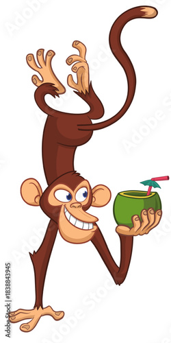 Cartoon funny monkey chimpanzee upside down drinking coconut cocktail. Vector illustration isolated on white