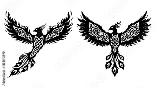Stunning pair of black Celtic knotwork phoenix designs ready for dramatic tattoo artistry