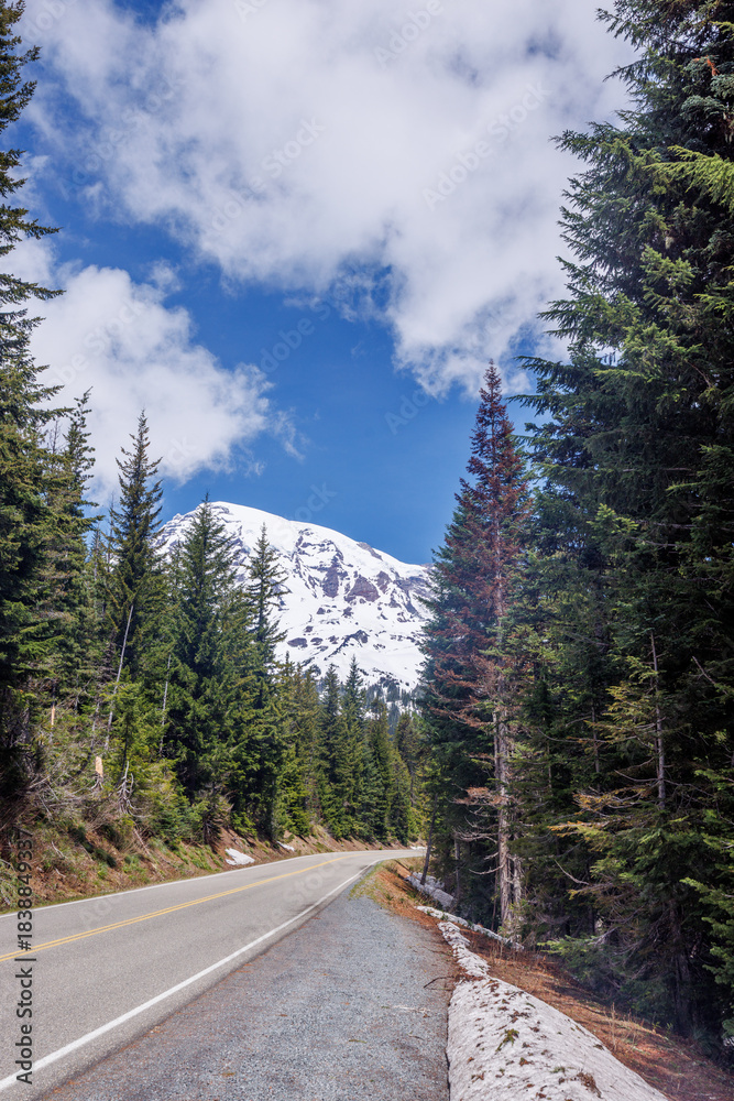 Fototapeta premium Scenic road in Mount Rainier National Park with fir trees on both sides and a snowy mountain