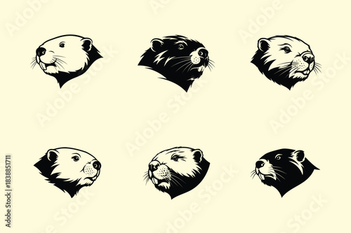 Vintage style illustrations of different monkey faces in a geometric pattern