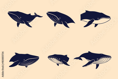 Minimalist illustration of humpback whales in various swimming poses on a peach background