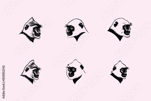 Set of gorilla head sketches in a minimalist black and white style