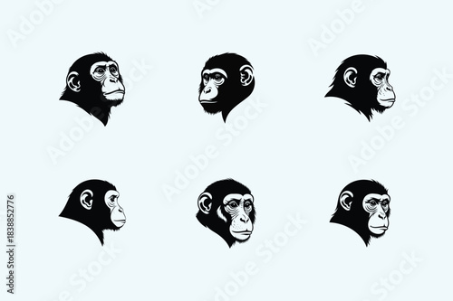 A series of six graphic illustrations of gorilla heads in a grid pattern