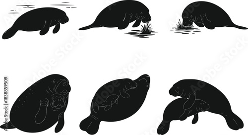 Manatee silhouettes in six aquatic poses and interactions, cartoon marine animal illustration, gentle wildlife concept, nature conservation theme, white background