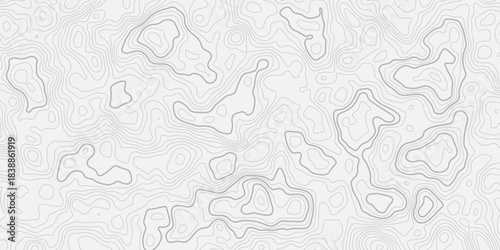 Sweeping Topographic Relief with Multilayer Carved Lines
Displaying Vast Elevation Fields and Flowing Geometric Textures