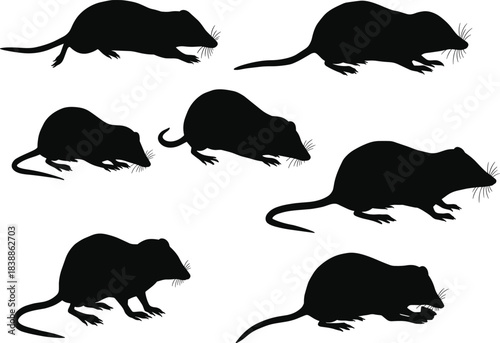 Black rat and mouse silhouettes in various poses, isolated vector set for pest control, biology, animal behavior, and design themes