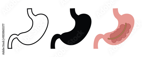 Stomach icon vector set 