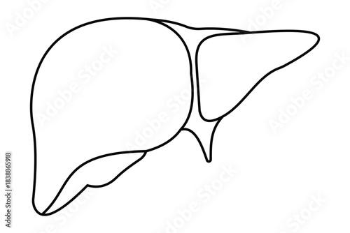 Liver Anatomy Icons Pack – Healthy to Diseased Stages, Fatty and Cirrhosis Vector 