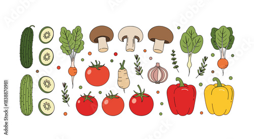 A colorful assortment of freshly harvested organic vegetables and herbs arranged neatly on a white background, perfect for healthy eating concepts.