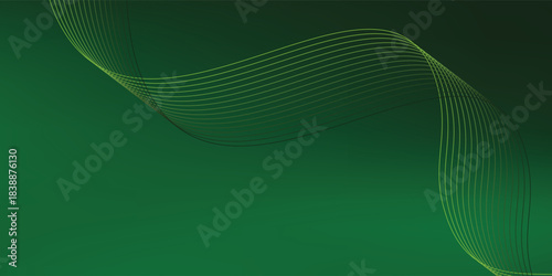 Abstract background using dark green tones on a black background. The lines and curves are like gentle and flowing waves. vector eps10