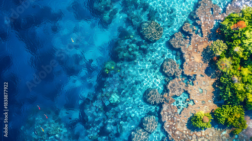 Fototapeta Naklejka Na Ścianę i Meble -  aerial view of colorful coral reef crystal clear