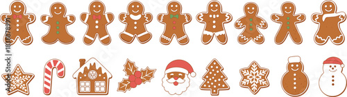Assorted Christmas Gingerbread Cookies and Decorations Collection woman