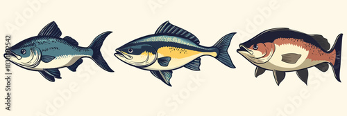Set of three detailed freshwater fish illustrations including largemouth bass, bluegill, and crappie in realistic style isolated on light background design vector