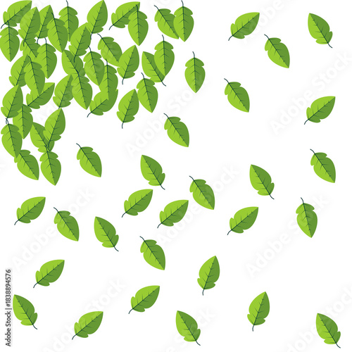 Falling Green Leaves Scattered Natural Background Graphic | Spring Foliage Scatter Corner Element Illustration Design | Fresh Nature Texture Simple Vector Wallpaper Backdrop
