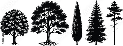 Diverse collection of stylized silhouettes of trees, showcasing various shapes and sizes, representing nature and the outdoors