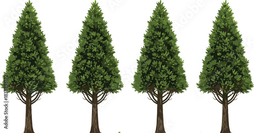 Detailed illustration of four lush green forest trees with natural foliage, realistic botanical vector artwork perfect for nature landscapes and outdoor design projects