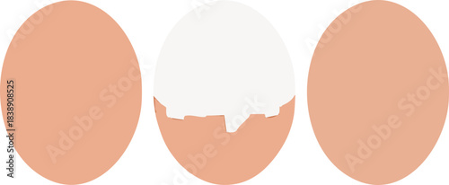 삶은계란 달걀 일러스트 